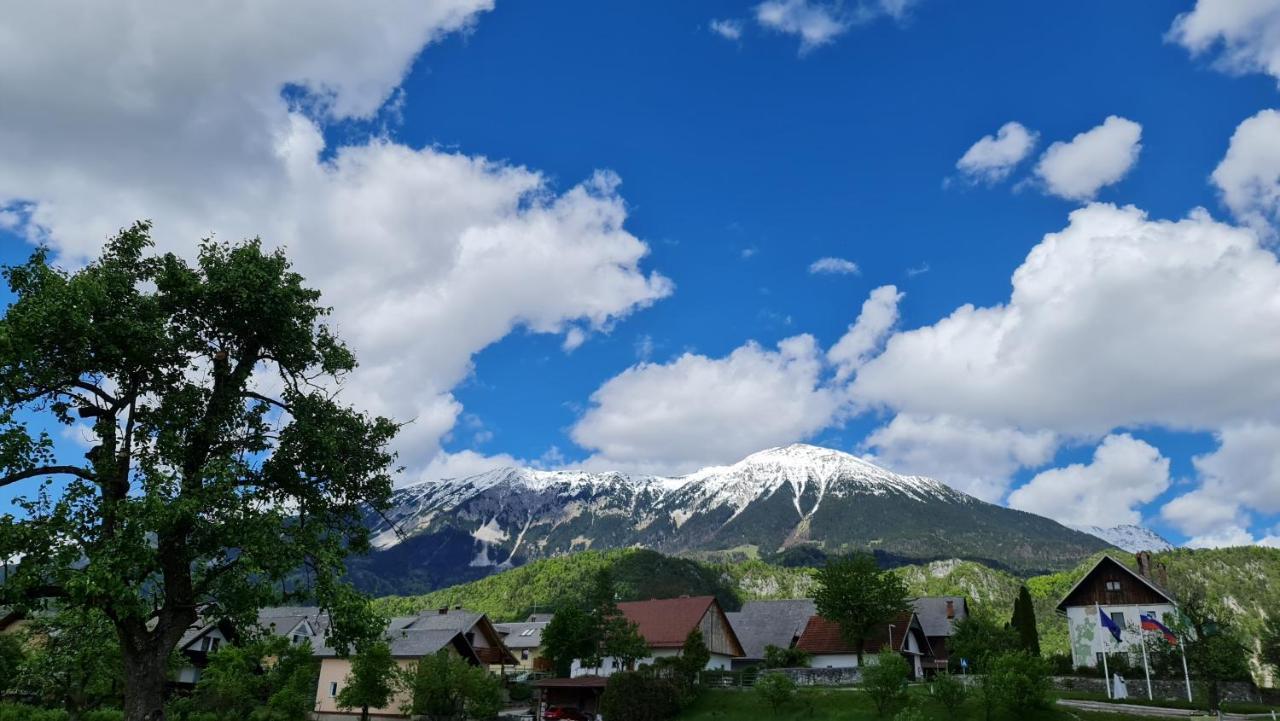 Guesthouse Osvald Zirovnica ภายนอก รูปภาพ