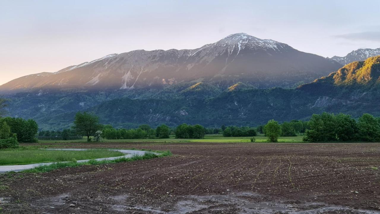 Guesthouse Osvald Zirovnica ภายนอก รูปภาพ